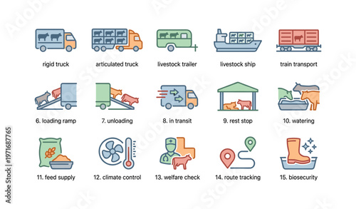 Livestock transport methods illustration with various vehicle types and stages