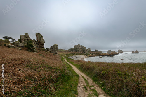 Magnifique paysage de la côte bretonne - Plougrescant Bretagne France