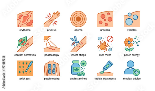 Illustrated guide to common skin allergies and treatments