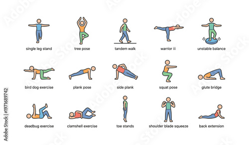 Illustrated exercise guide: balance, strength, and flexibility poses