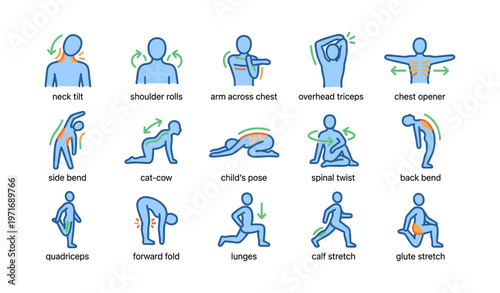 Illustrated guide to 14 simple stretching exercises for flexibility and relaxation