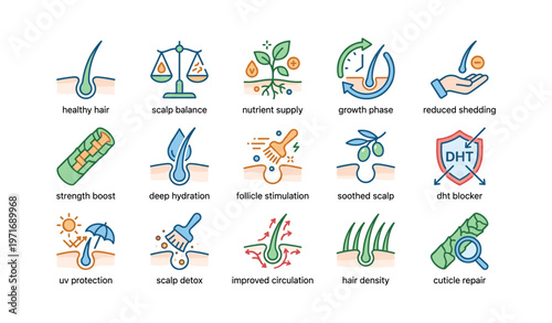 Hair growth and scalp health icons: nutrient supply, growth phase, reduced shedding, scalp balance
