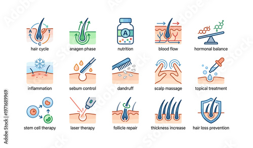 Hair growth stages and treatments illustrated with key factors and solutions