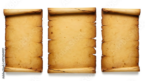 Three aged parchment scrolls with rolled edges displayed side by side