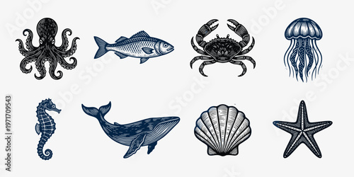 Oceanic creatures: Detailed illustration set with marine life artistic drawings
