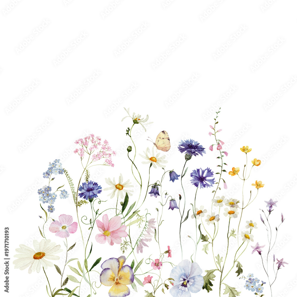Fototapeta premium Spring border. Watercolor colorful wildflower floral clipart - flower meadow green red yellow herbs leaves. Wedding invitation, fashion, background, textile. Peony, rose, shamrock, chamomile, ivy