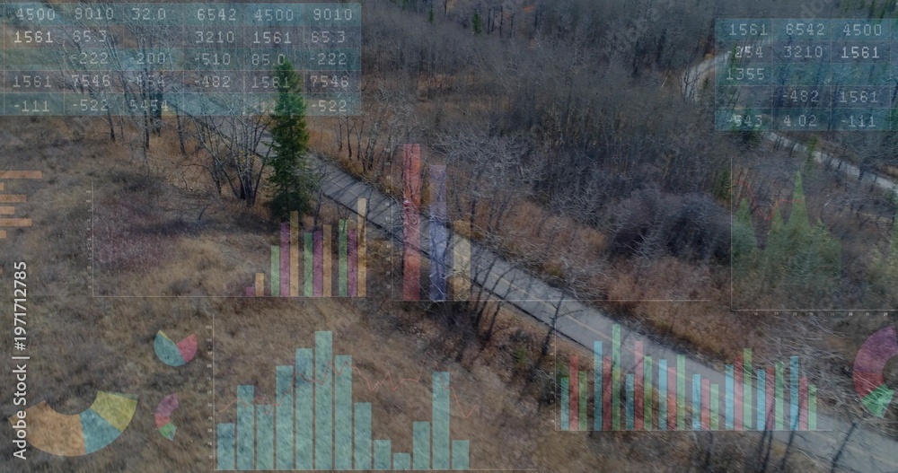 Fototapeta premium Cutting paved path diagonally through rural woods with bare trees dry grass shrubs pine data panels