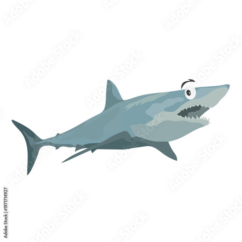 Shark Marine Nature Drawing Illustration