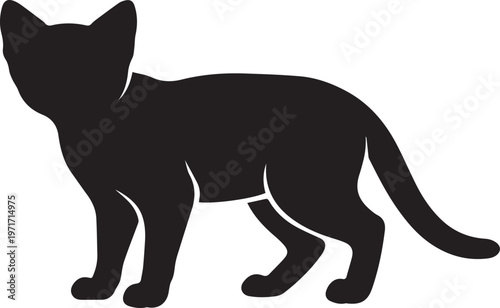 Silhouette of a kitten standing with domestic animal with black and white with house cat with animal lover
