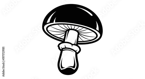 Stylized monochrome illustration of a mushroom with a detailed cap, stem, and textured underside, isolated on a plain background.
