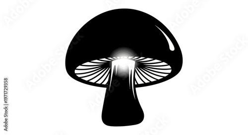 Black and white illustration of a single mushroom with detailed gills and underside of cap. Isolated on a plain background.