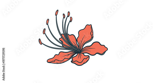 Red Flower Illustration with Black Stamen.