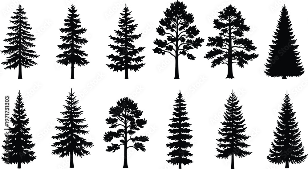Obraz premium Forest silhouette collection of detailed evergreen tree illustrations