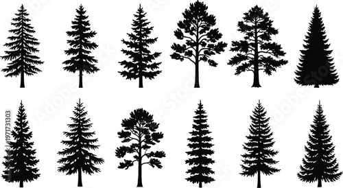 Forest silhouette collection of detailed evergreen tree illustrations
