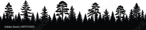 Title forest silhouette a dramatic black and white tree line landscape description a striking silhouette