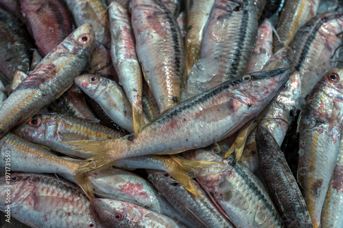 Red Mullet at Seafood Market in Hurghada