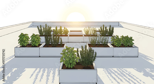 Roof garden with potted plants at sunrise