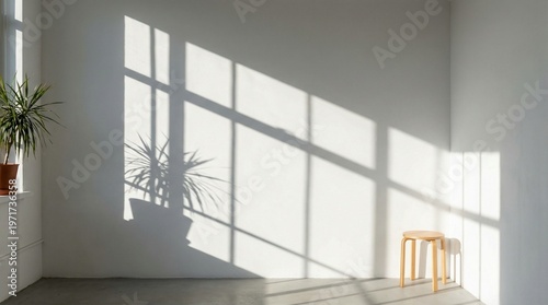 White wall with natural sunlight shadow.