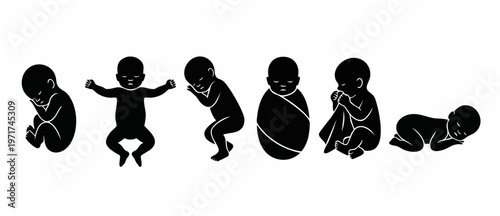 Baby Silhouette Stages Development - Newborn Growth Sequence, Black Vector Isolated Icon Set on White. Pregnancy Milestones, Infancy Evolution & Childbirth Timeline. Childcare Design Element 2024