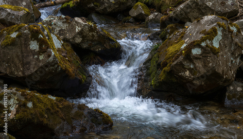 Rushing stream in Great Smoky Mountains forest