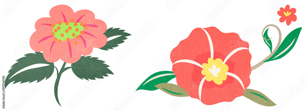 Fototapeta premium PNG Colorful floral vector illustration element set on transparent background