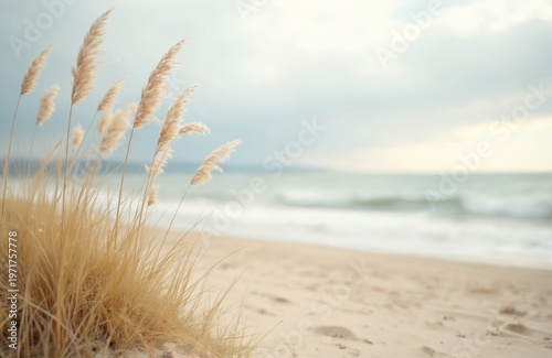 Soft focus beach grass sways gently with ocean waves on sandy shore. Coastal landscape features calm water and sky with muted tones. Serene natural backdrop for relaxation and tranquility.