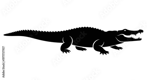 Black silhouette of crocodile 1.