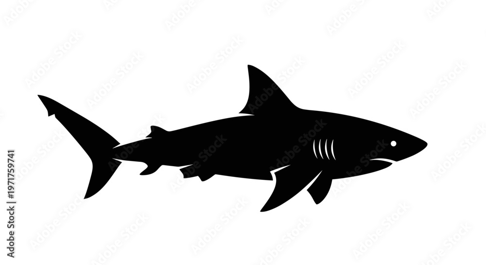 Fototapeta premium Black Shark Silhouette Swimming.