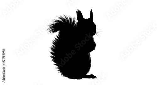 Black Squirrel Silhouette Profile.