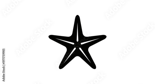 Black starfish on white background 1.