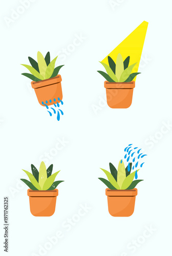Flat illustration of potted plant care showing watering, sunlight, overwatering, and healthy growth.
