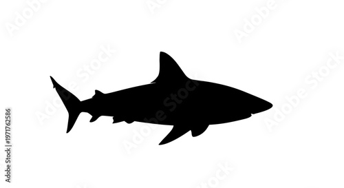 Black Shark Silhouette Swimming 1.