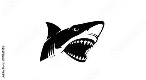 Black Shark Head Illustration.