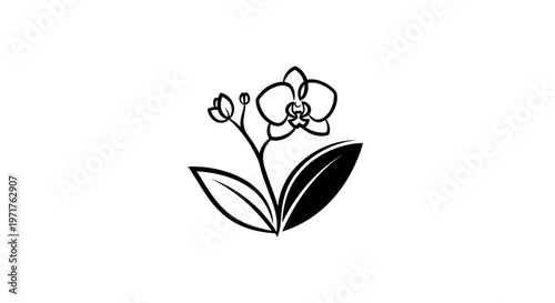 Minimalist Orchid Flower Line Art Vector Icon
