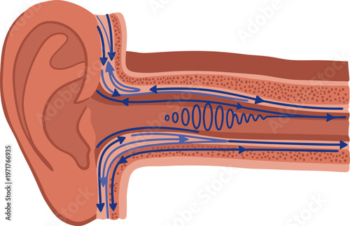 Illustration depicts ear canal resonance logic, showcasing sound waves traveling through the ear. Vibrant blue lines highlight the process. Clean, modern design for visual appeal.