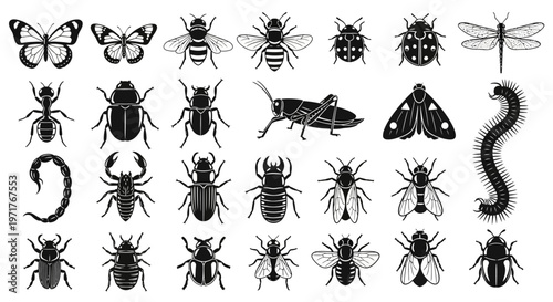 Diverse Black and White Collection of Insects, Bugs, and Arachnids for Design, Education, and Nature-Themed Projects