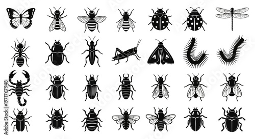 Collection of Various Insects and Arthropods - Detailed Vector Illustrations