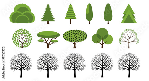 A Diverse Collection of Tree Illustrations Featuring Various Shapes, Sizes, and Foliage Types