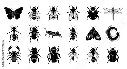 Comprehensive Vector Collection of Diverse Insects and Bugs for Graphic Design Projects and Educational Content