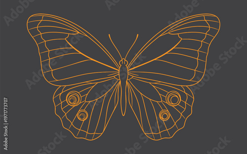 Title intricate butterfly symmetry a digital art composition with reflected details description a symmetrical butterfly illustration features vibrant