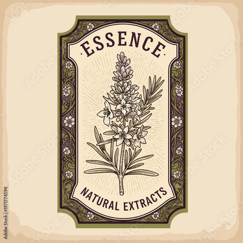 Vintage label design featuring a detailed botanical illustration of a flowering plant with the text "ESSENCE NATURAL EXTRACTS" in an ornate frame.