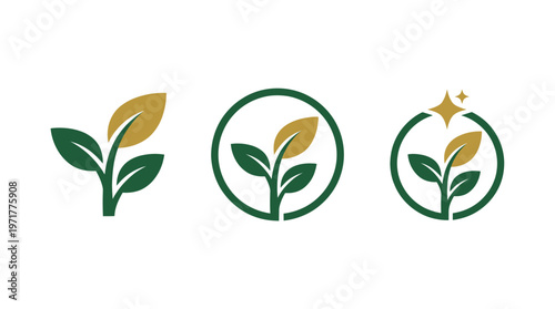 Growth and Development Concepts: Seedling Icons