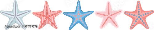 Set of colorful starfish isolated on white background marine sea life vector illustration collection