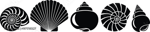 Set of seashell silhouettes isolated on white background marine ocean icon vector illustration collection