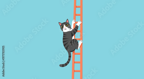 Black and white cat climbing ladder.