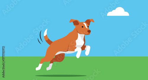 Brown and white dog running fast.