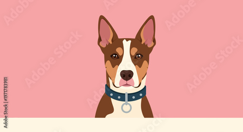 Brown and white dog with collar.