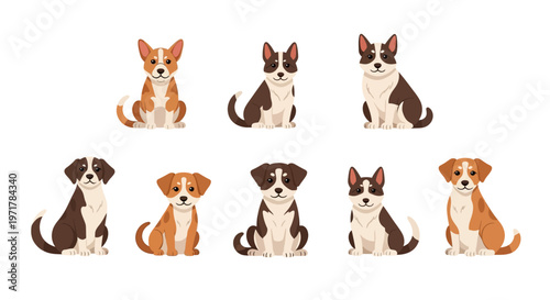 Cute dogs sitting in rows together.