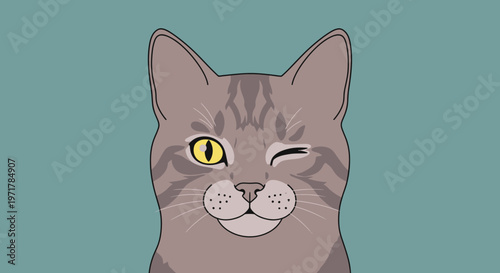 Winking Gray Tabby Cat Face Closeup.