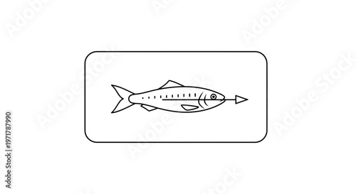 Fish impaled on spear, hunting, fishing, sport, danger, food, seafood, aquatic life